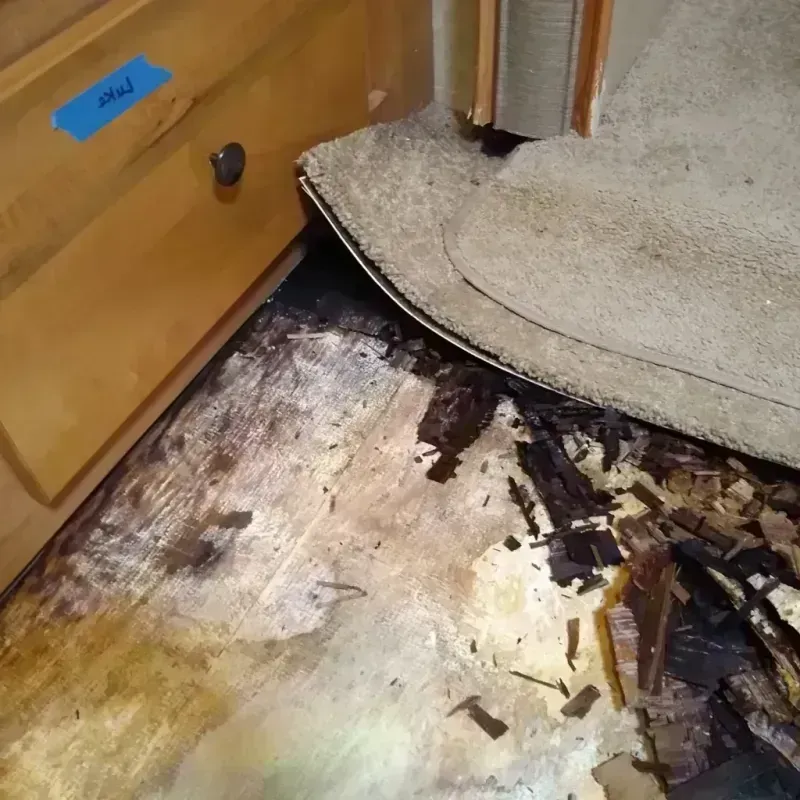 Wood Floor Water Damage in Prosperity, SC